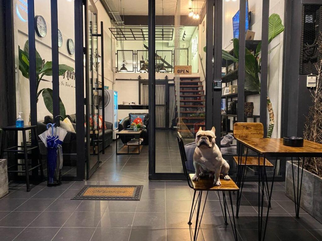 Backpack hostel Chiang Rai bunk beds
