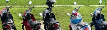 scooter rental phuket