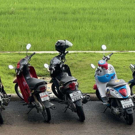 Best Things To Do in Surat Thani