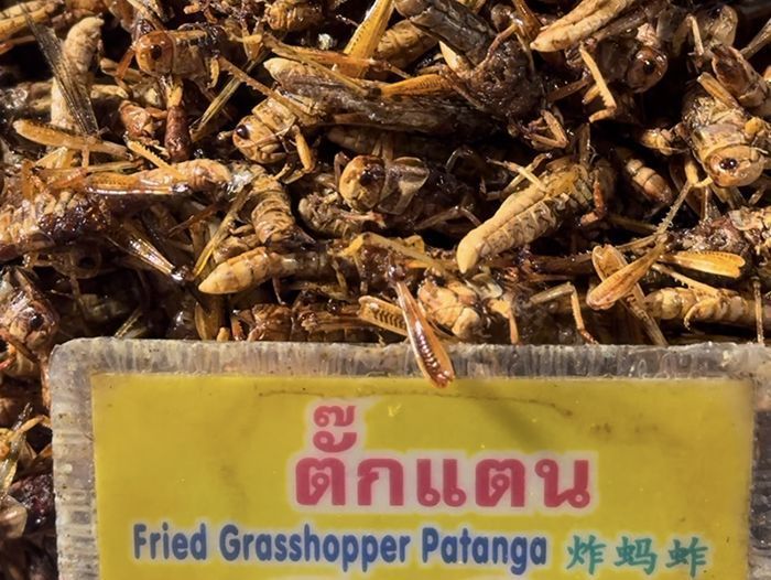 chiang rai night market