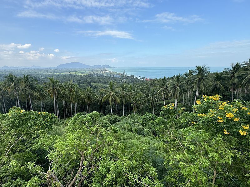 what to do Nakhon Si Thammarat Province