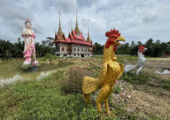 nakhon si thammarat what to do Wat Yang Yai