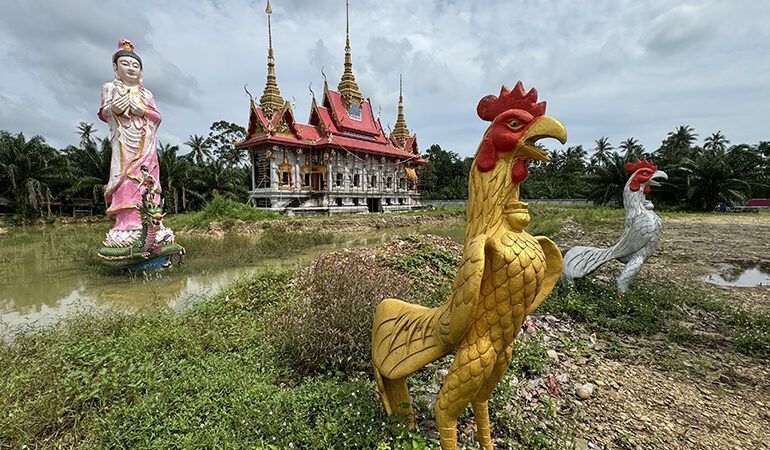 nakhon si thammarat what to do Wat Yang Yai