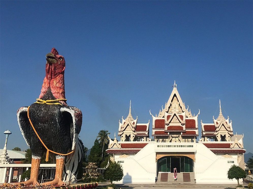 nakhon si Thammarat what to do
